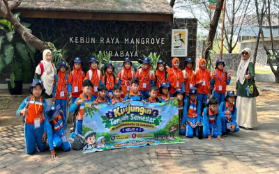 KTS Kelas IV MIM 25 Surabaya, Kenali Ekosistem Mangrove secara Langsung